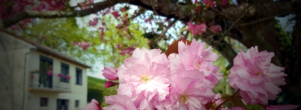 Chambres d’hôtes près de Chaumont-sur-Loire