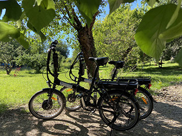 Hébergement Accueil Vélo sur La Loire à Vélo – Les Hôtes de Chouzy