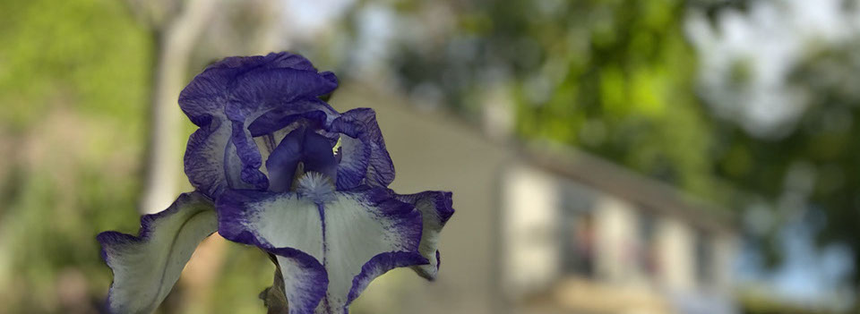 Chambres d’hôtes près de Chaumont-sur-Loire
